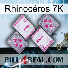 Rhinocéros 7K 33